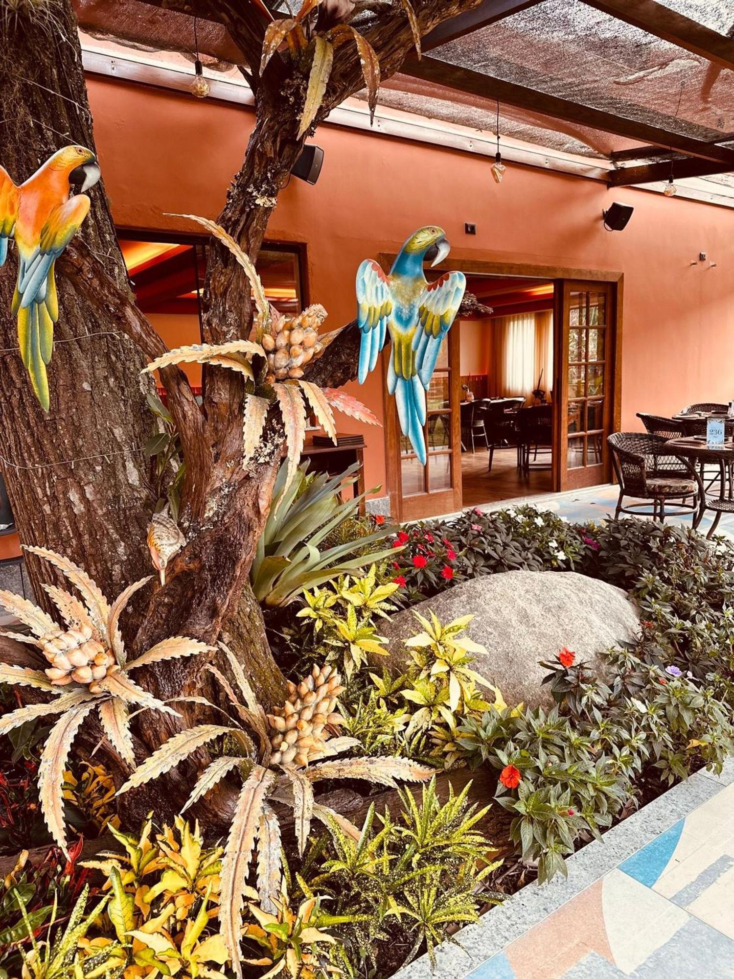 Chacara Comary Hotel Teresopolis Exterior photo